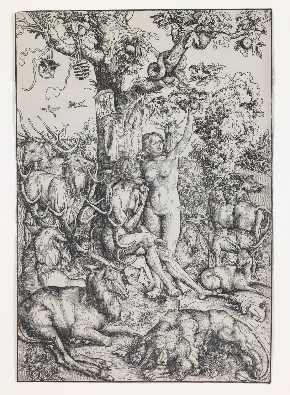 Adam und Eva im Paradies von Lucas Cranach the Elder