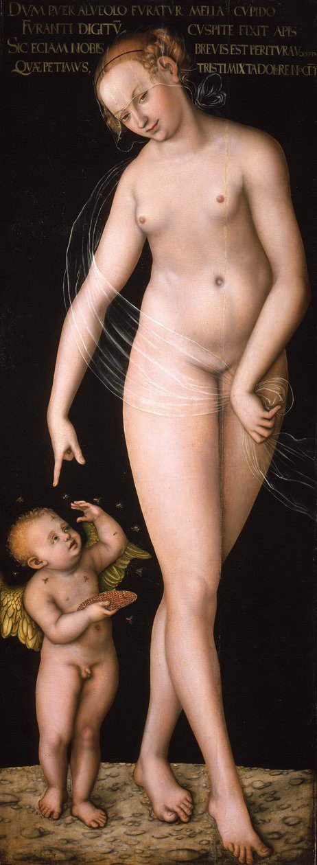 Venus und Amor als Honigdieb von Lucas Cranach the Elder