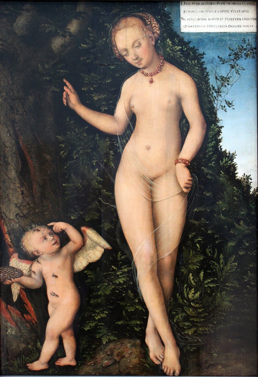 Venus und Amor als Honigdieb von Lucas Cranach the Elder