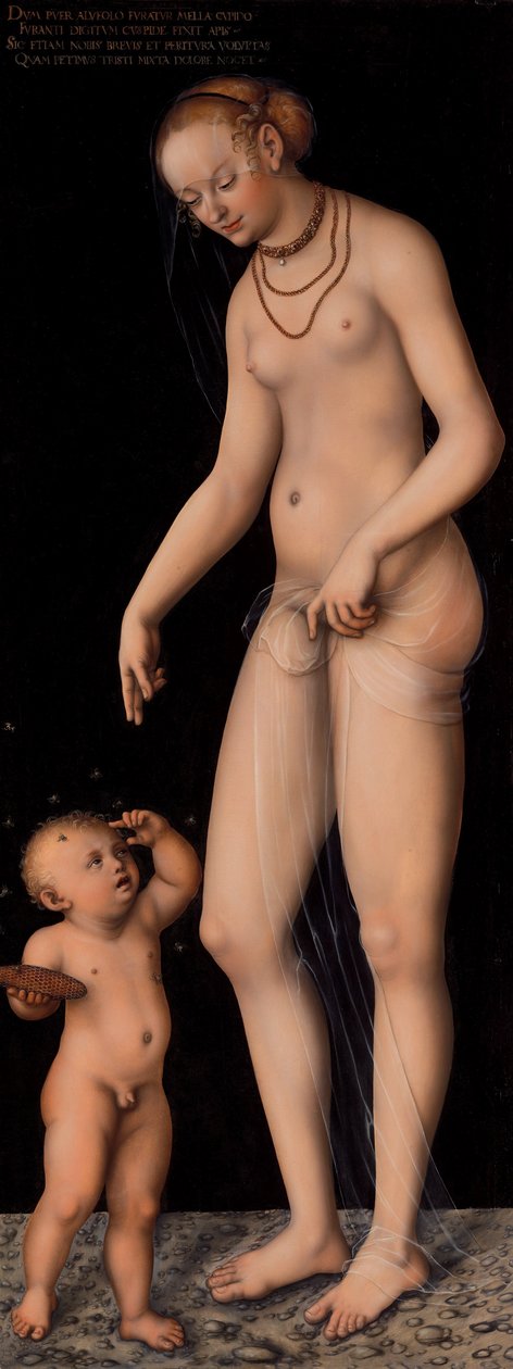 Venus mit Amor als Honigdieb von Lucas Cranach the Elder