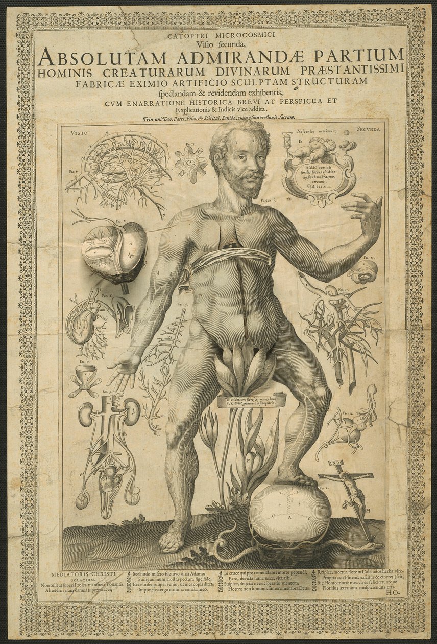 Zweite Vision, aus Spiegel des Mikrokosmos von Lucas Kilian