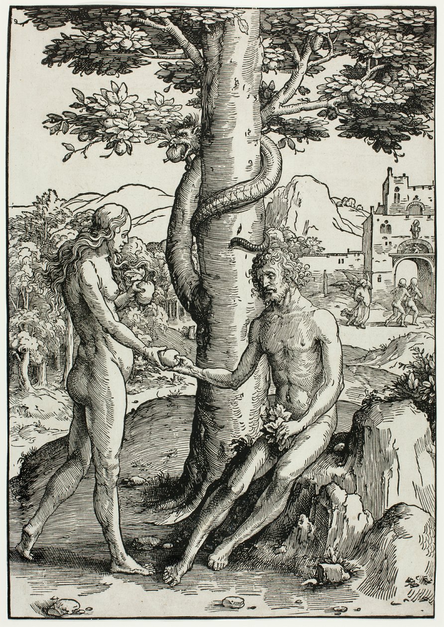 Adam und Eva (Der Sündenfall) von Lucas van Leyden