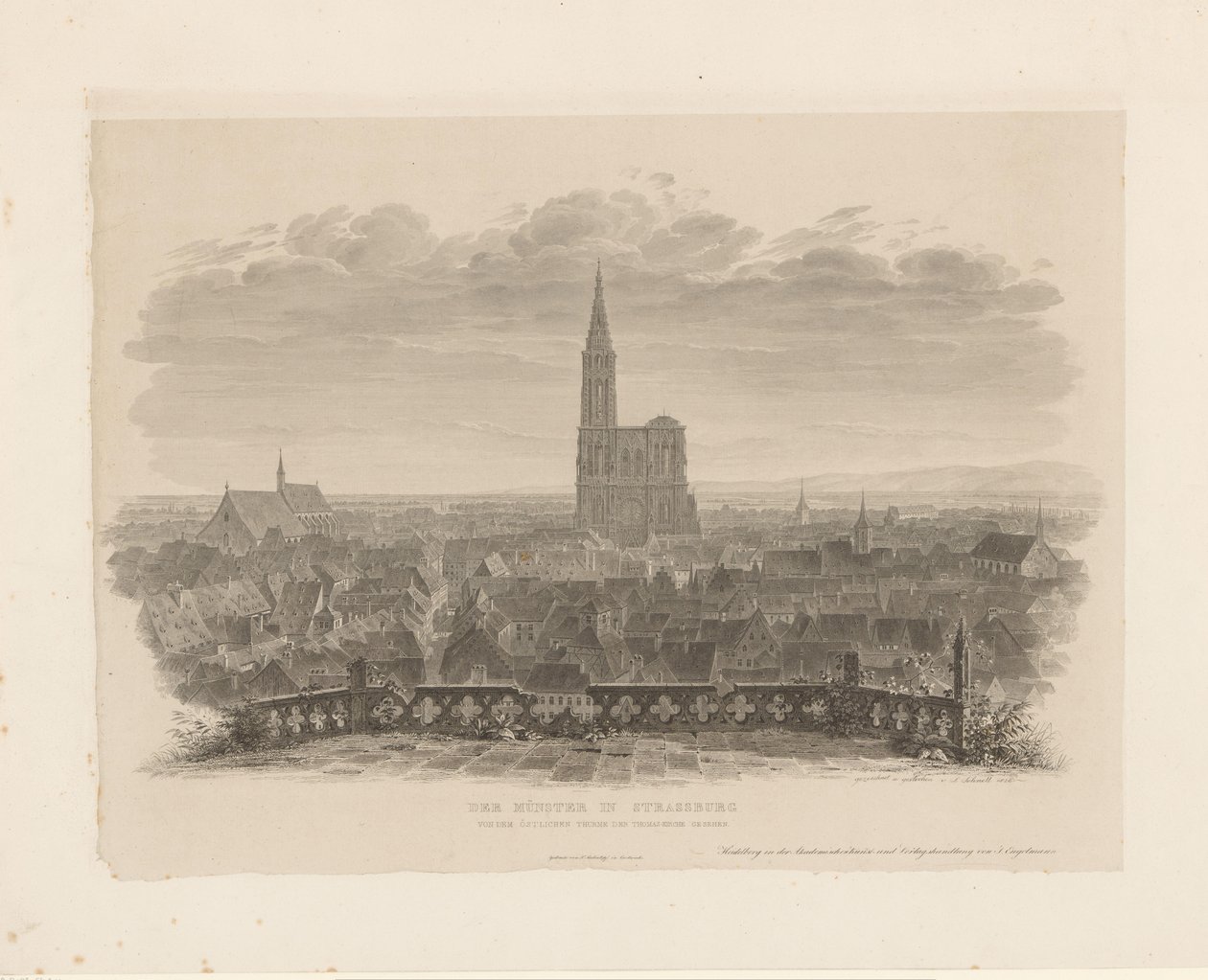 Der Münster in Straßburg vom östlichen Turm der Thomaskirche gesehen von Ludwig Friedrich Schnell