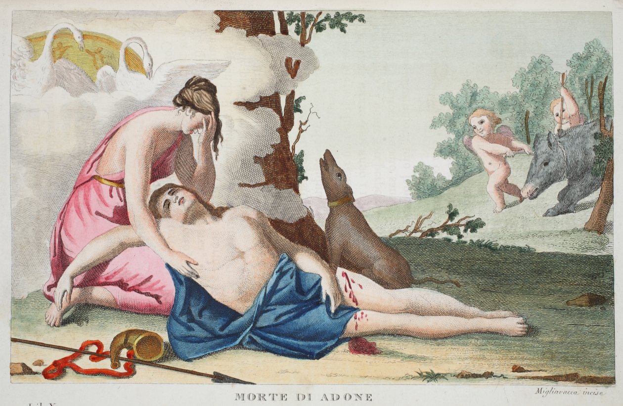 Tod des Adonis oder Morte di Adone, Buch X, Illustration aus Ovids Metamorphosen, Florenz, 1832 von Luigi Ademollo