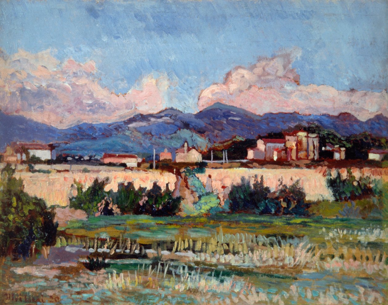 Häuser und Gärten in Ardenza, von Ulvi Liegi (1858-1939) von Luigi Levi