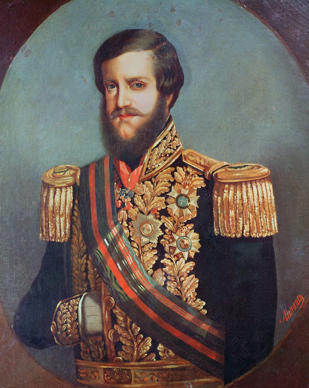 Pedro II., Kaiser von Brasilien von Luis de Miranda Pereira Visconde de Menezes