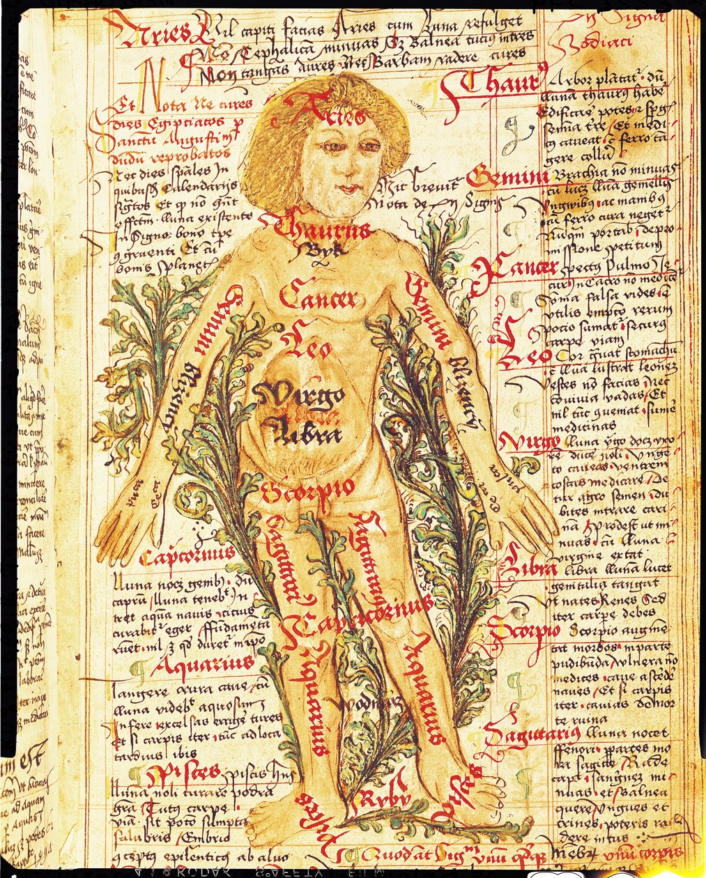 Einfluss der Sterne auf Krankheiten des menschlichen Körpers, aus Tractatus de Pestilencia von M, Albik