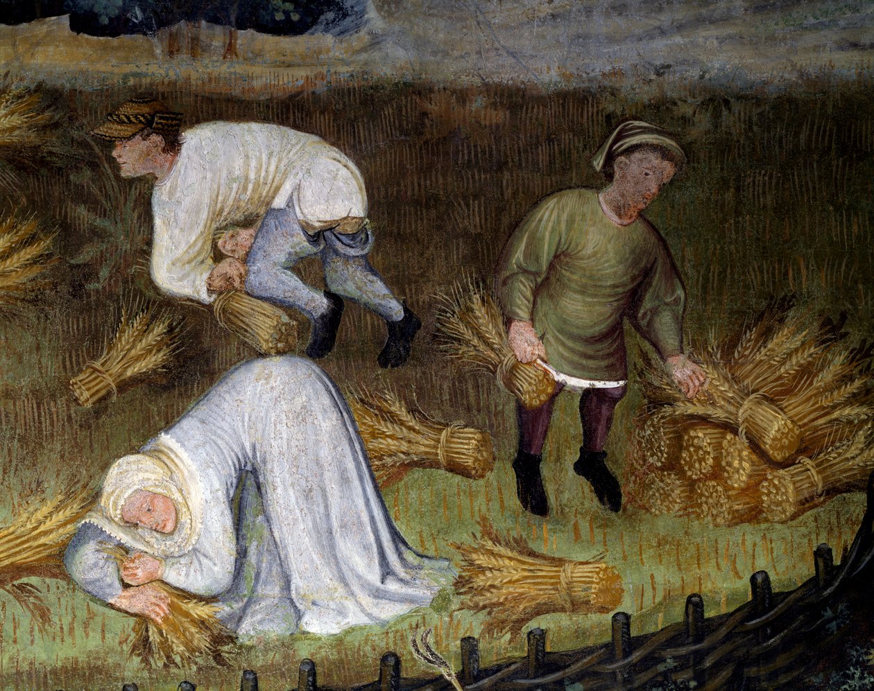 Weizenernte, Detail aus dem Monat August, Zyklus der Monate von Maestro (attr. to) Venceslao