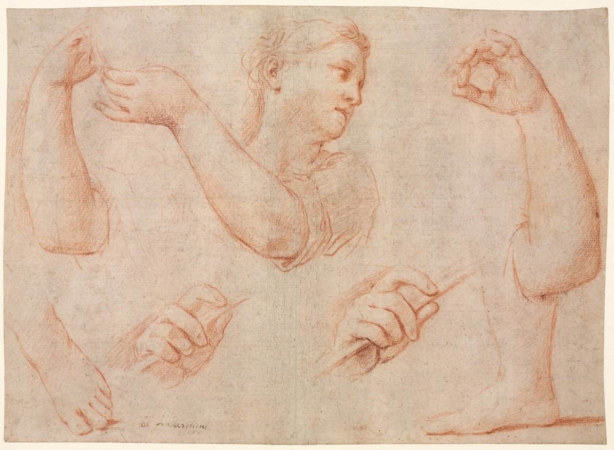Studie einer jungen Frau, die ein Tamburin spielt, und Studien eines Arms, Hände und Füße, ca. 1711 von Marcantonio Franceschini