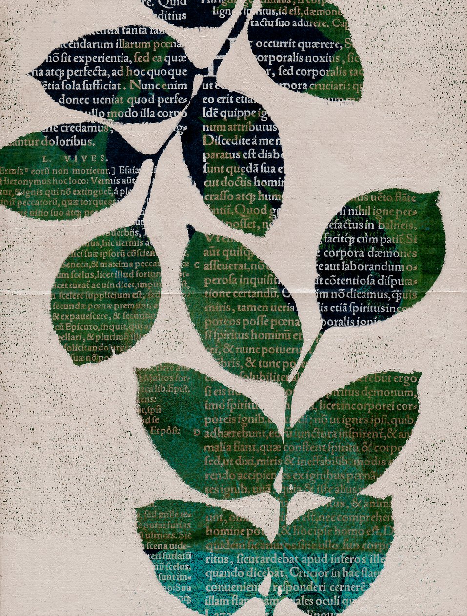 Blätter, 2024 von Marco Campedelli