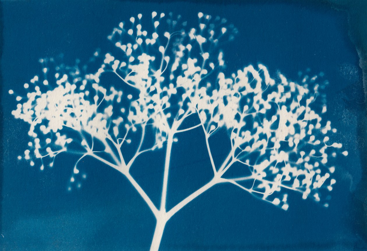 Buchstaben, 2014 von Marco Campedelli