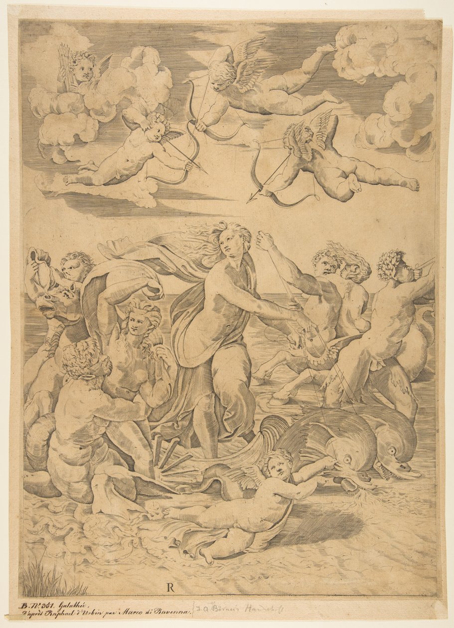 Galatea reitet in einer Muschel, gezogen von Delfinen, ein Amor darunter, ca. 1515-27 von Marco Dente