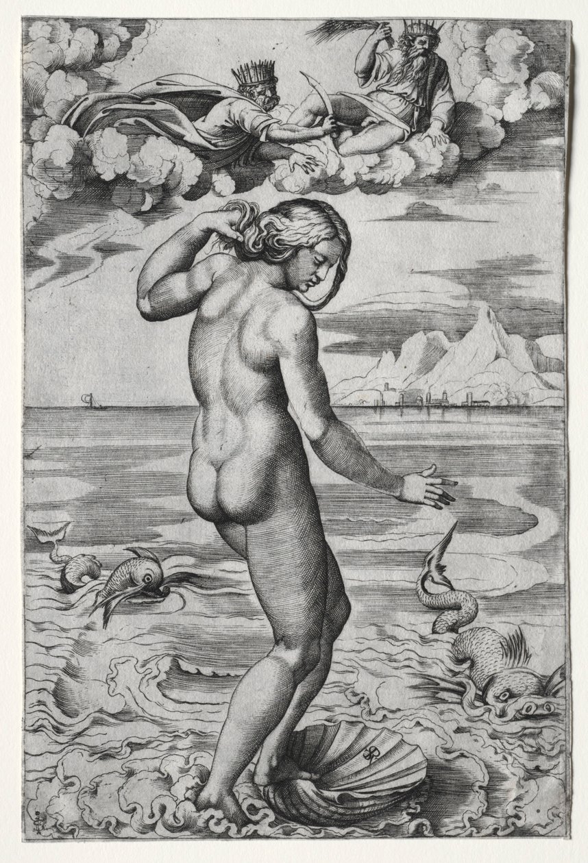 Die Geburt der Venus von Marco Dente