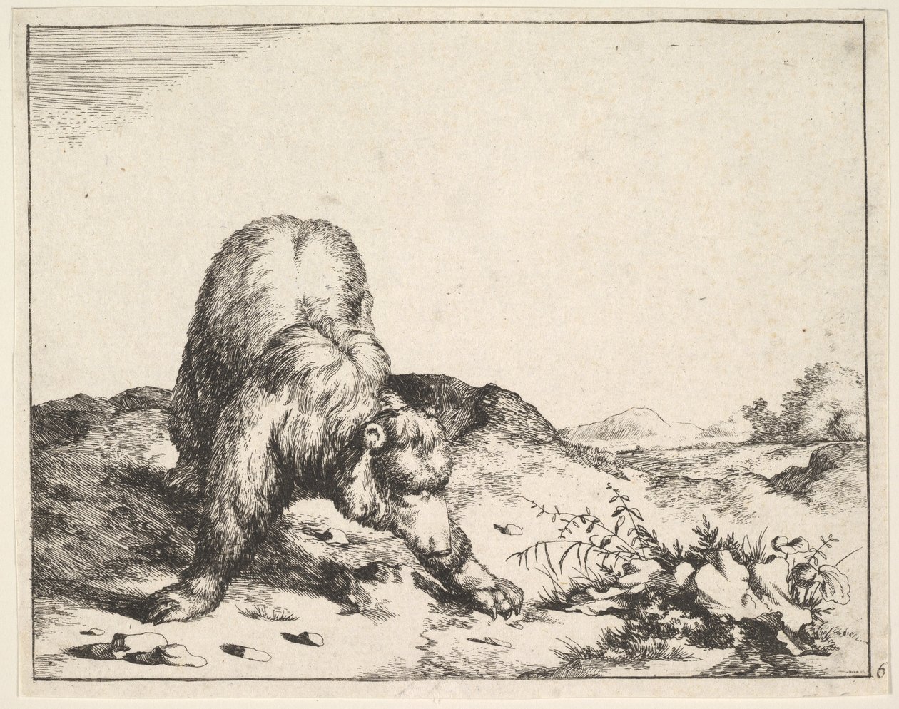aus dem Set der Bären, ca. 1664 von Marcus de Bye