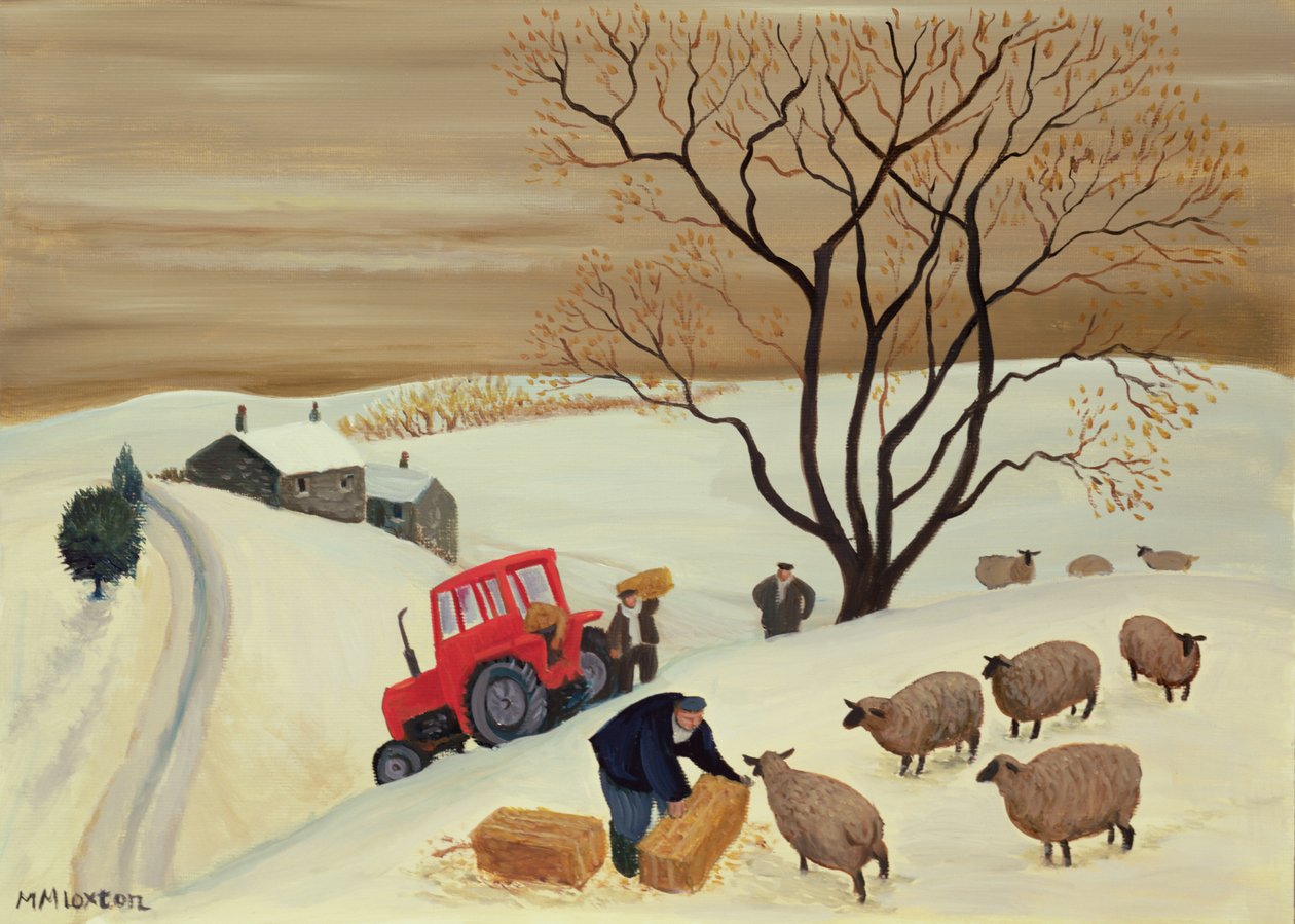 Heu mit dem Traktor zu den Schafen bringen von Margaret Loxton