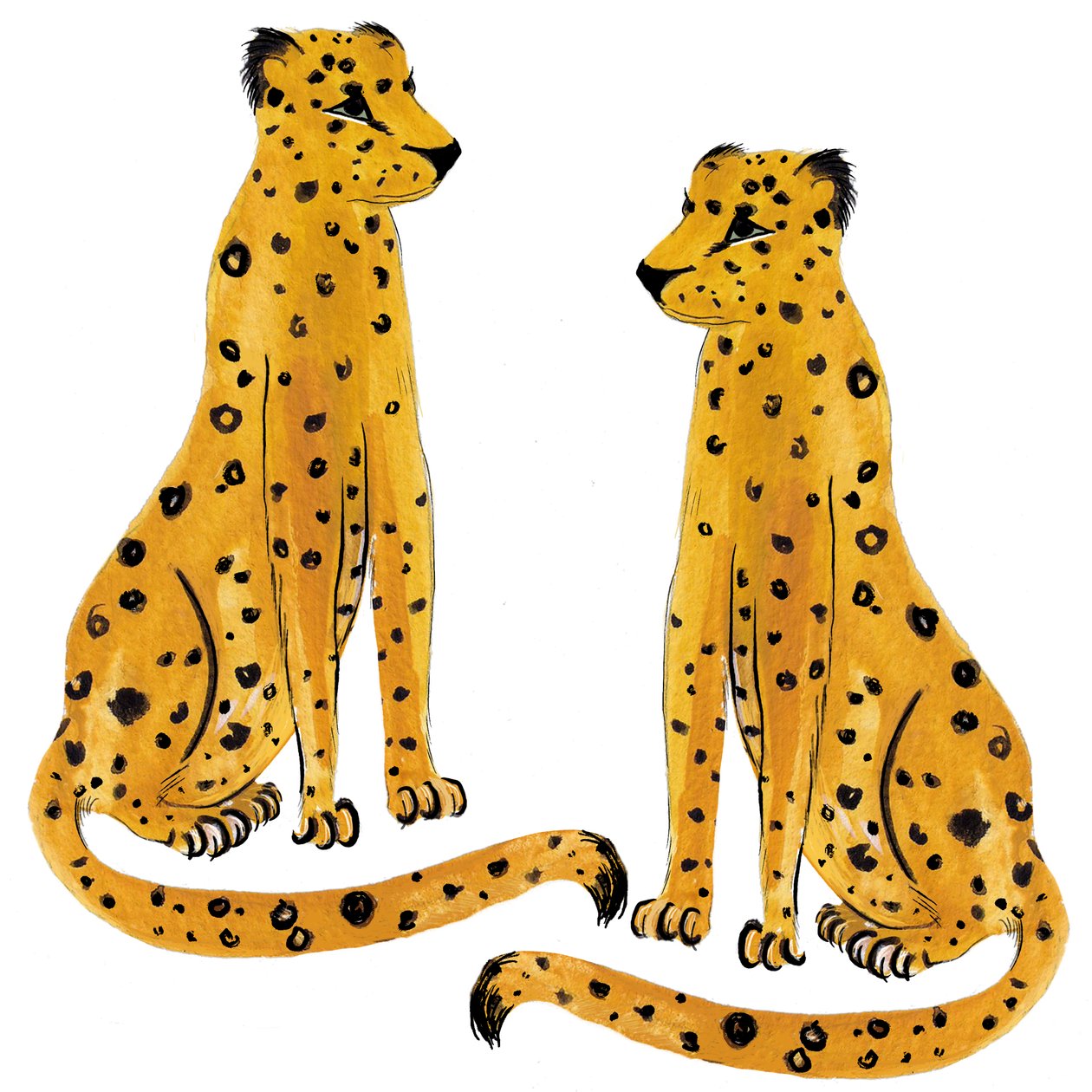 Leopardenpaar, 2020 von Marianna Kulukundis