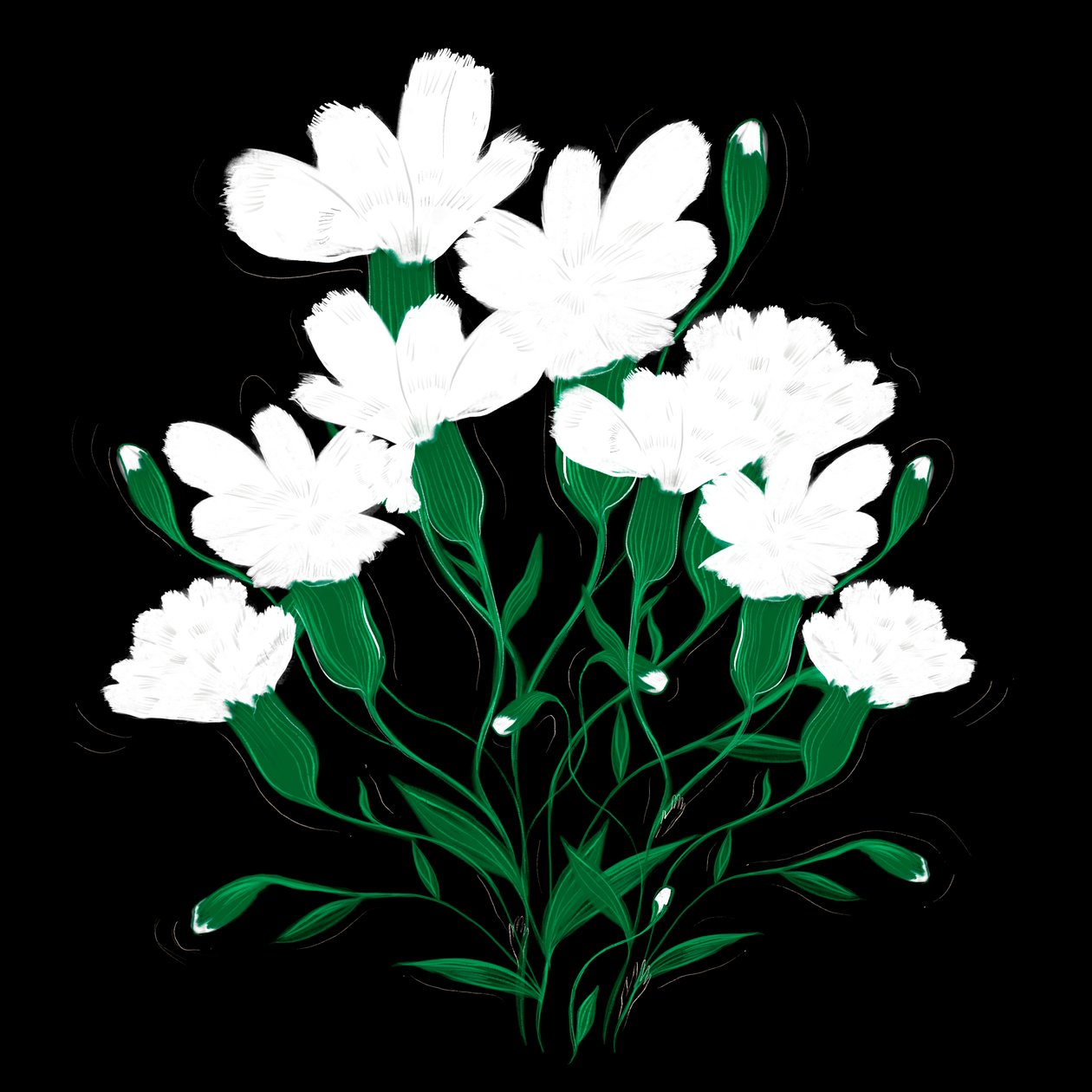 Weiße Nelken von Marianna Kulukundis