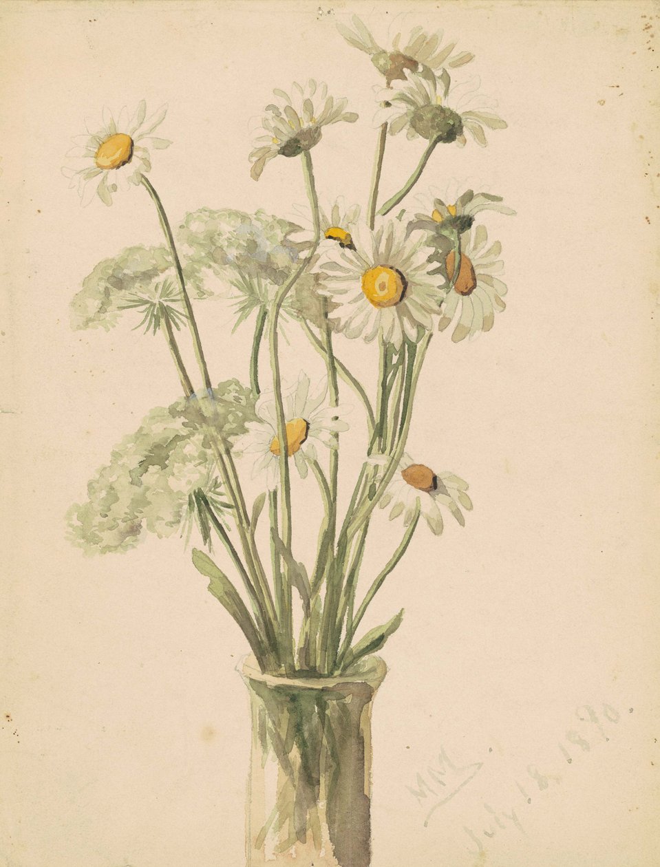 Gänseblümchen und Wilde Möhre in einer Vase, 1890 von Marietta Minnegerode Andrews