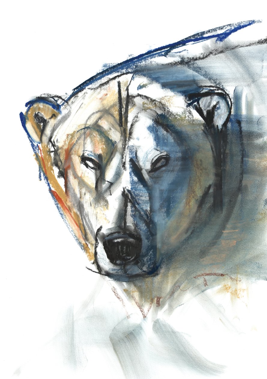 Arktisches Symbol, 2015 von Mark Adlington