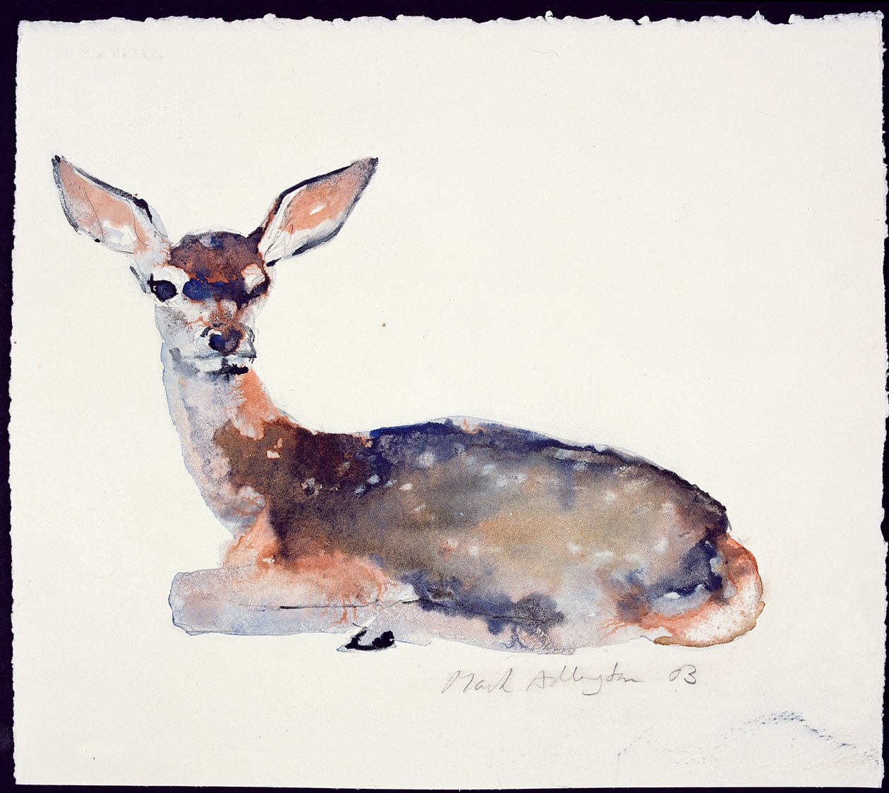 Rehkitz, 2003 von Mark Adlington