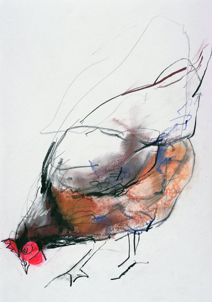 Henne füttern, Trasierra, 1998 von Mark Adlington