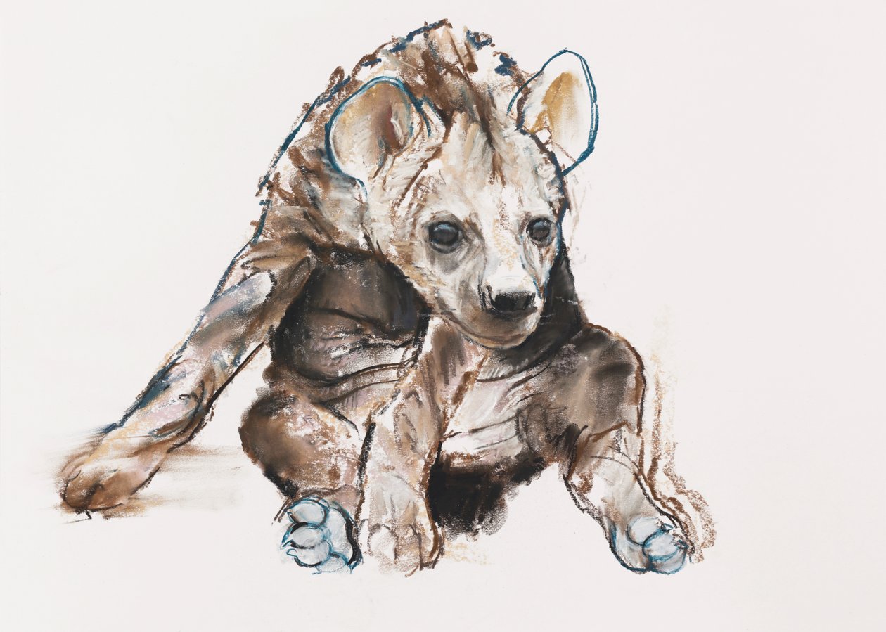 Hyänenjunges (Kopf unten), 2019 von Mark Adlington