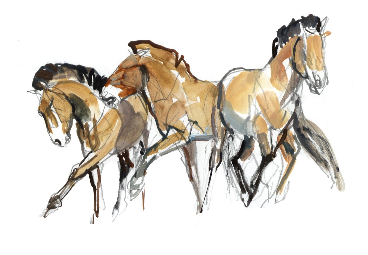 Mistral Drei (Przewalski) von Mark Adlington