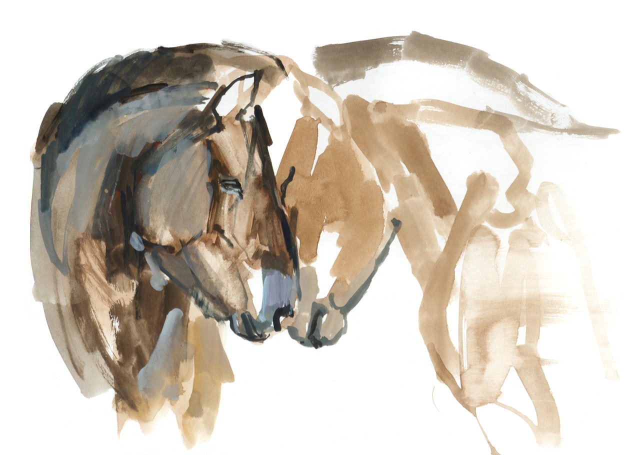 Nase an Nase (Przewalski), 2013 von Mark Adlington