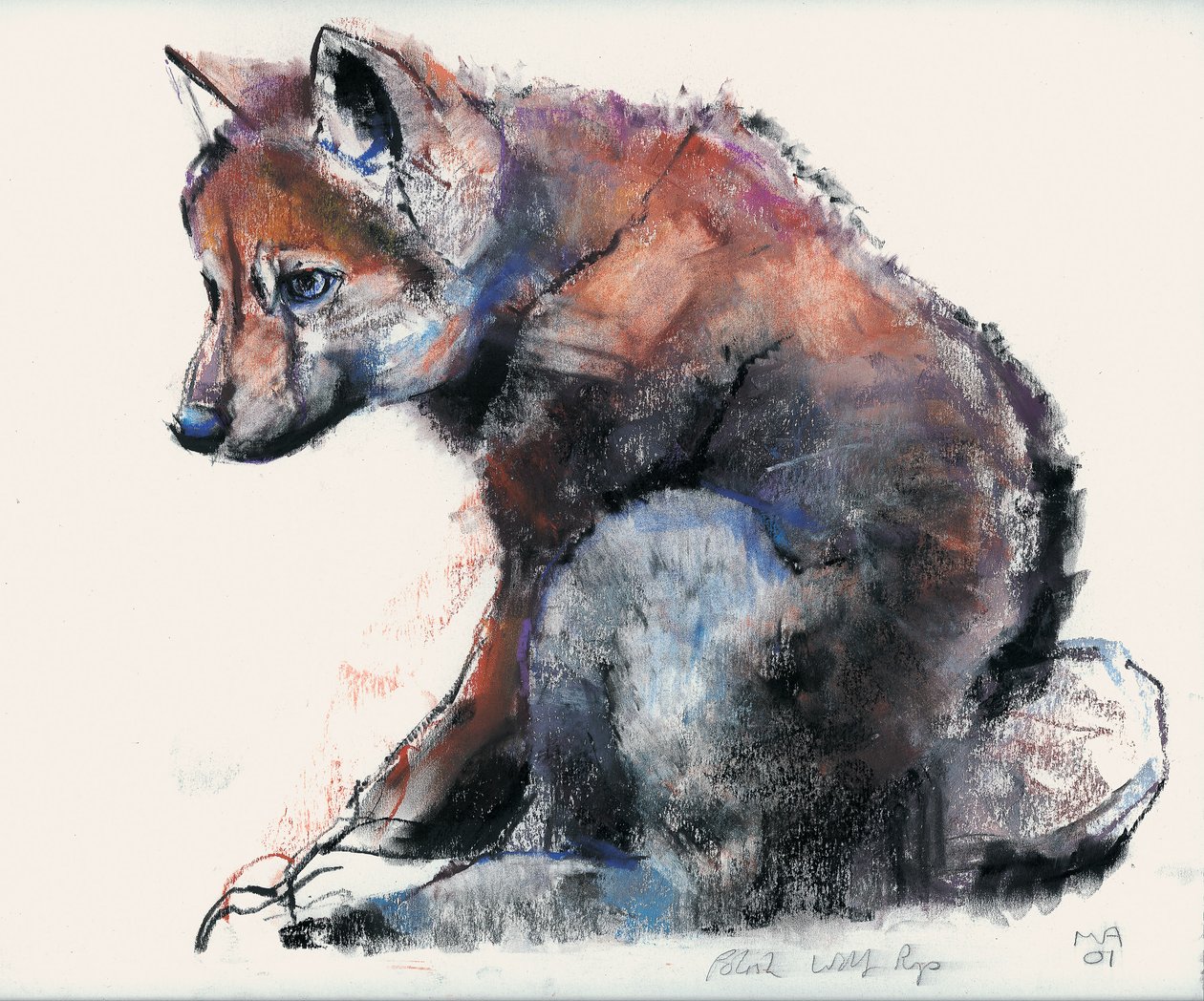 Polnischer Wolfswelpe, 2001 von Mark Adlington