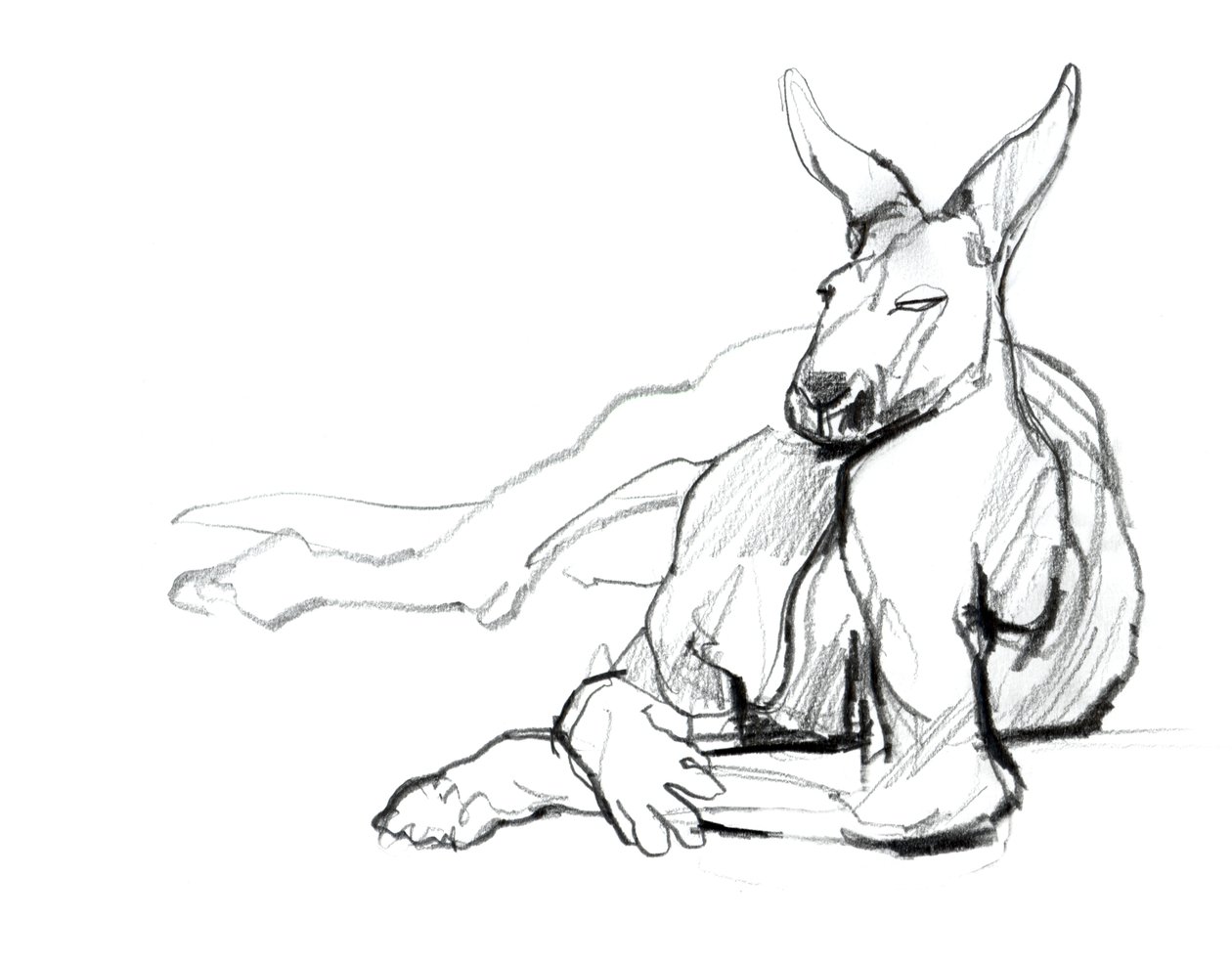 Ruhender Athlet (Rotes Känguru), 2012 von Mark Adlington