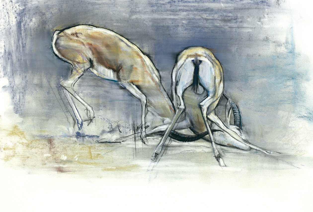 Sandgazellen, 2009 von Mark Adlington