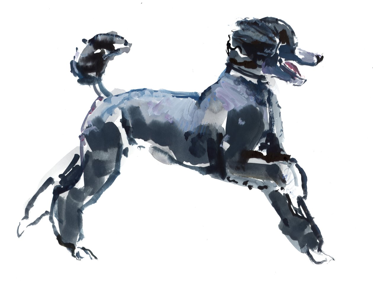 Sheer Class, 2013 (Aquarell und Gouache auf Papier) von Mark Adlington