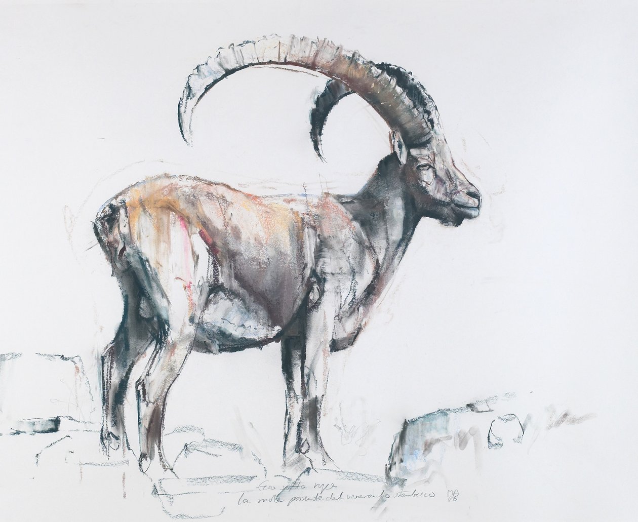Venerando Stambecco, 2006 von Mark Adlington