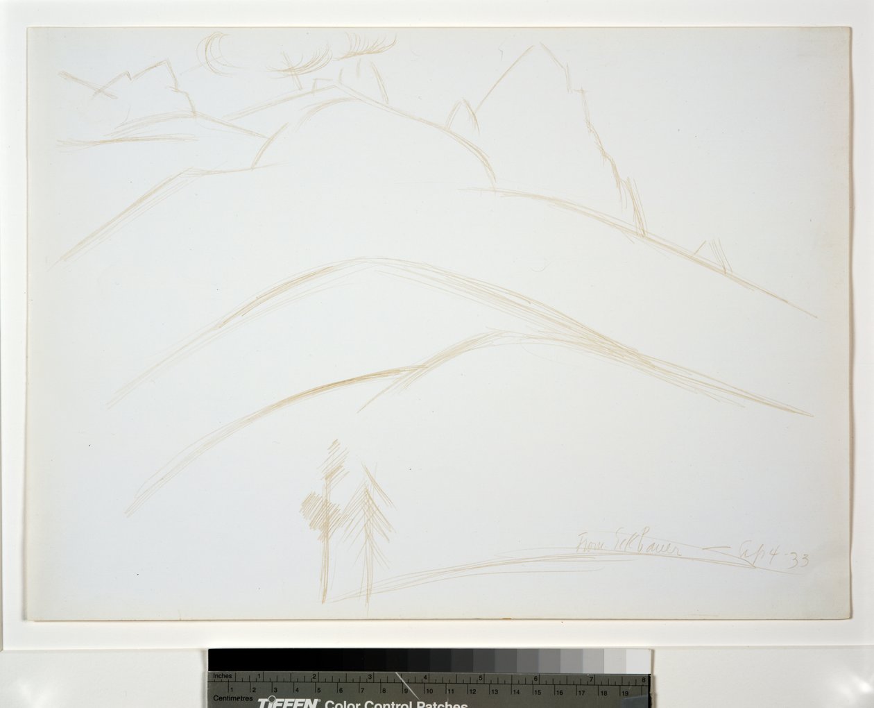 Berglandschaft mit zwei Kiefern von Marsden Hartley