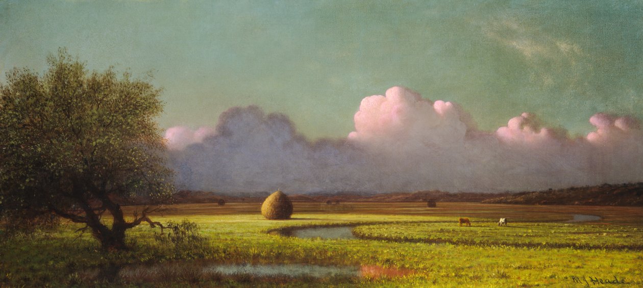 Sonnenlicht und Schatten - Die Newbury-Marschen von Martin Johnson Heade