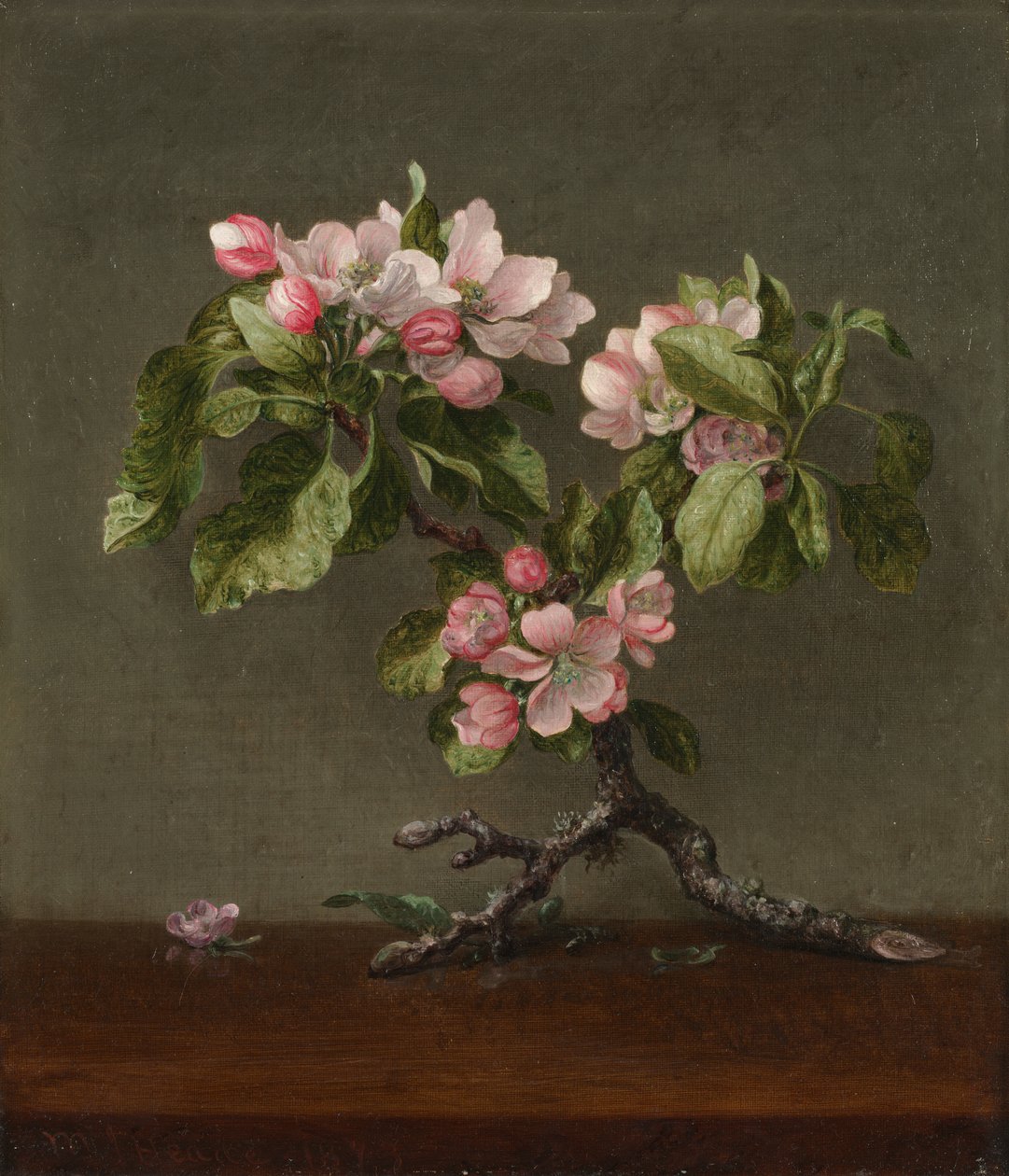 Apfelblüten von Martin Johnson Heade
