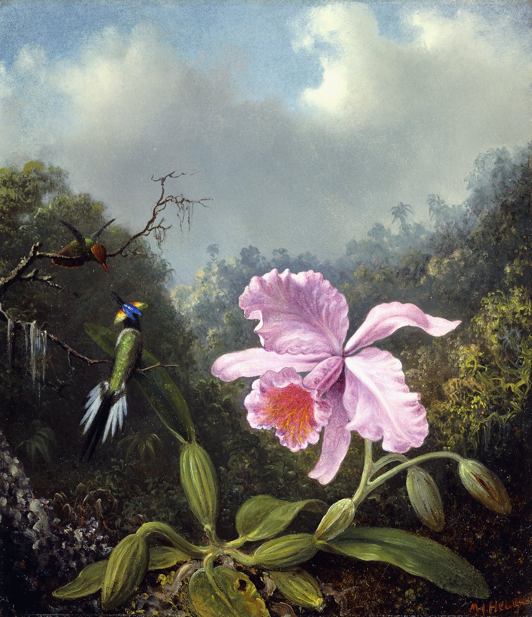 Stillleben mit Orchidee und Paar Kolibris, ca. 1890er von Martin Johnson Heade