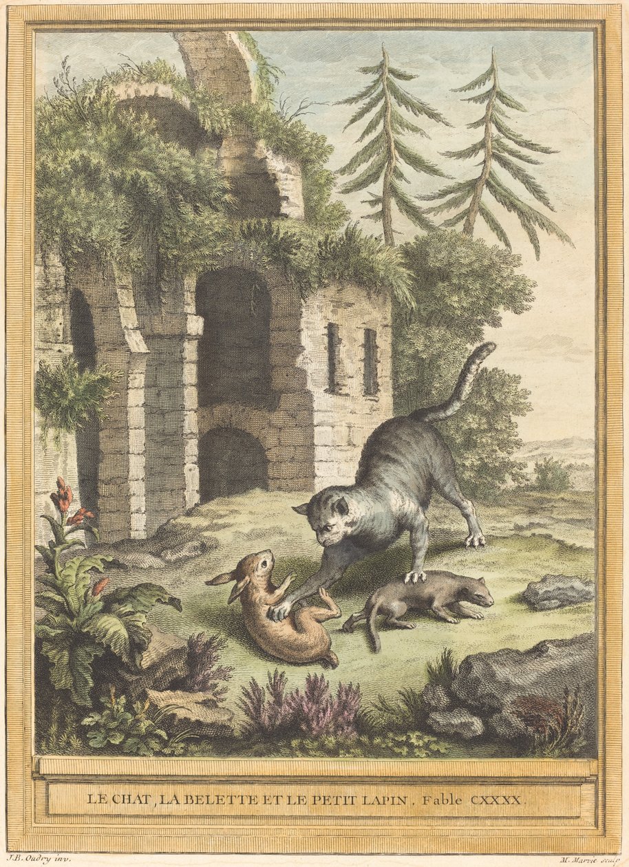 Die Katze, das Wiesel und der Hase von Martin Marvie after Jean Baptiste Oudry