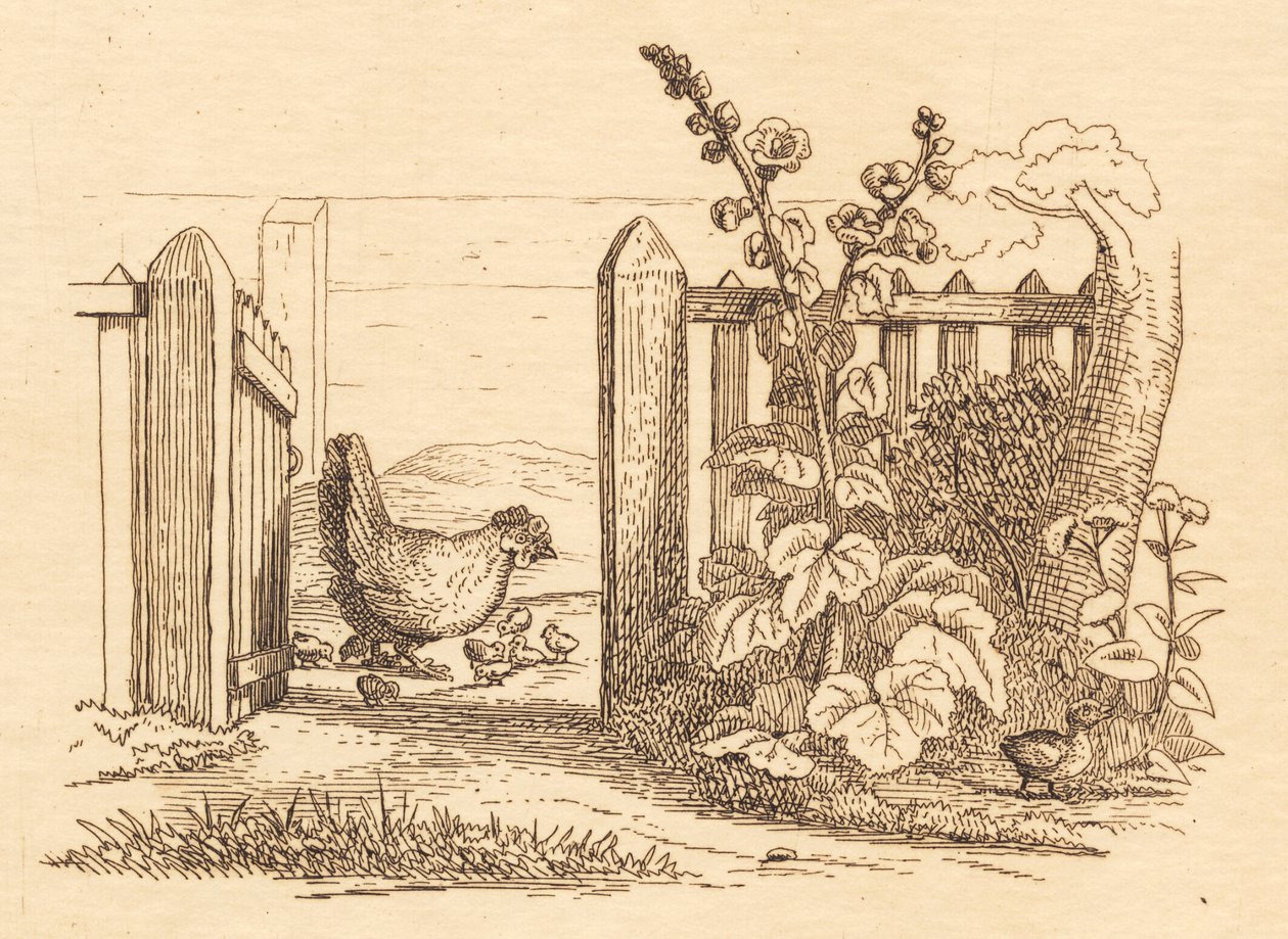 Illustration zu "Halvhundrede Fabler for Børn" von Hey von Martinus Rørbye