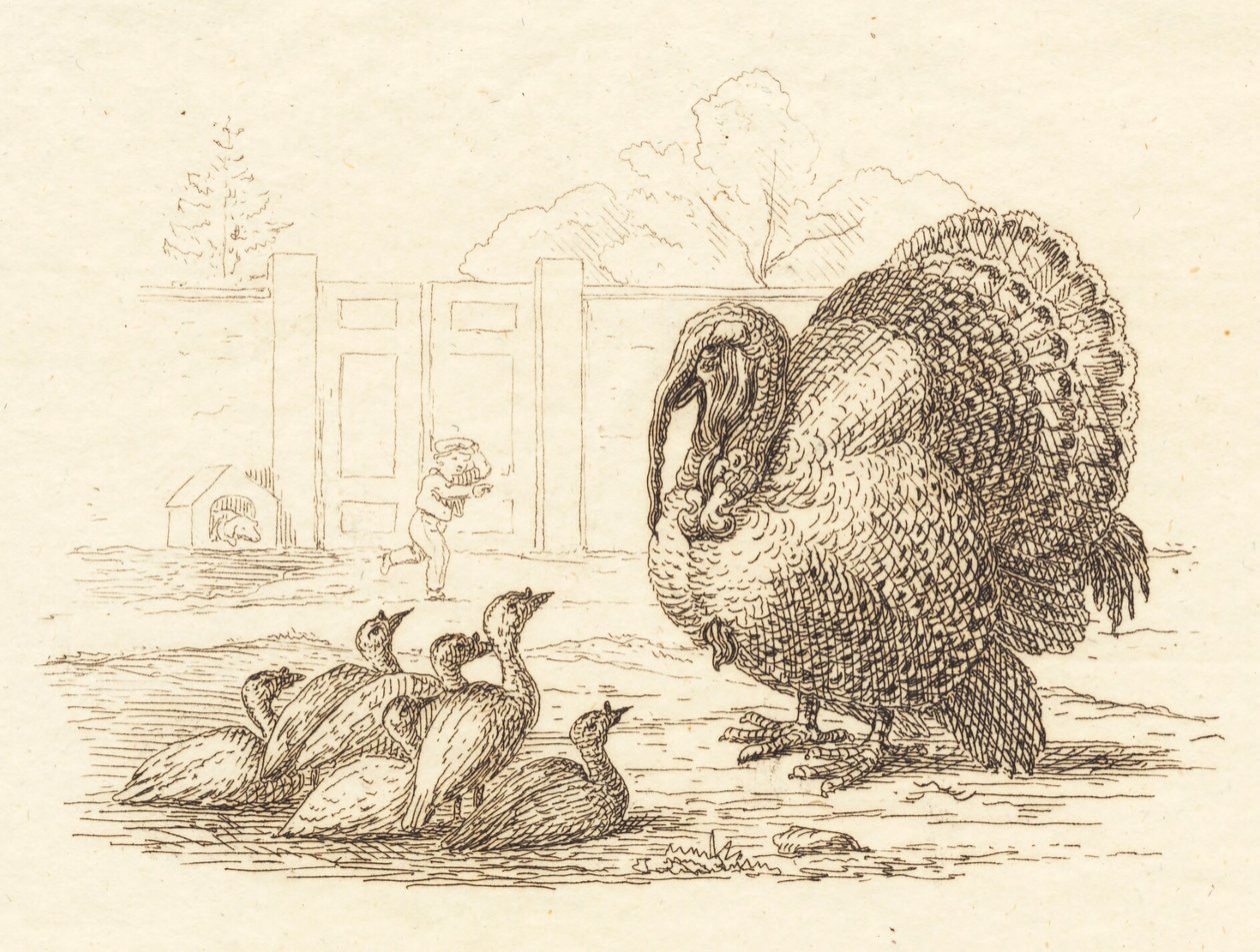 Illustration zu "Halvhundrede Fabler for Børn" von Hey von Martinus Rørbye
