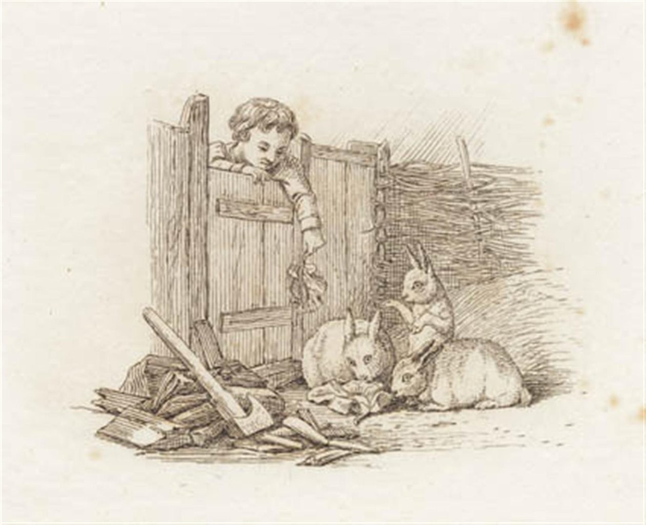Illustration zu "Halvhundrede Fabler for Børn" von Hey von Martinus Rørbye