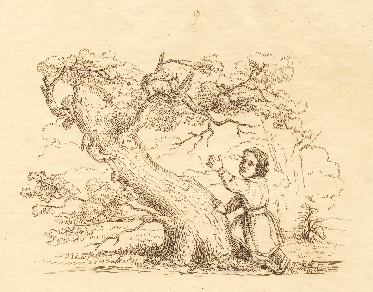 Illustration zu Halvhundrede Fabler for Børn von Hey von Martinus Rørbye