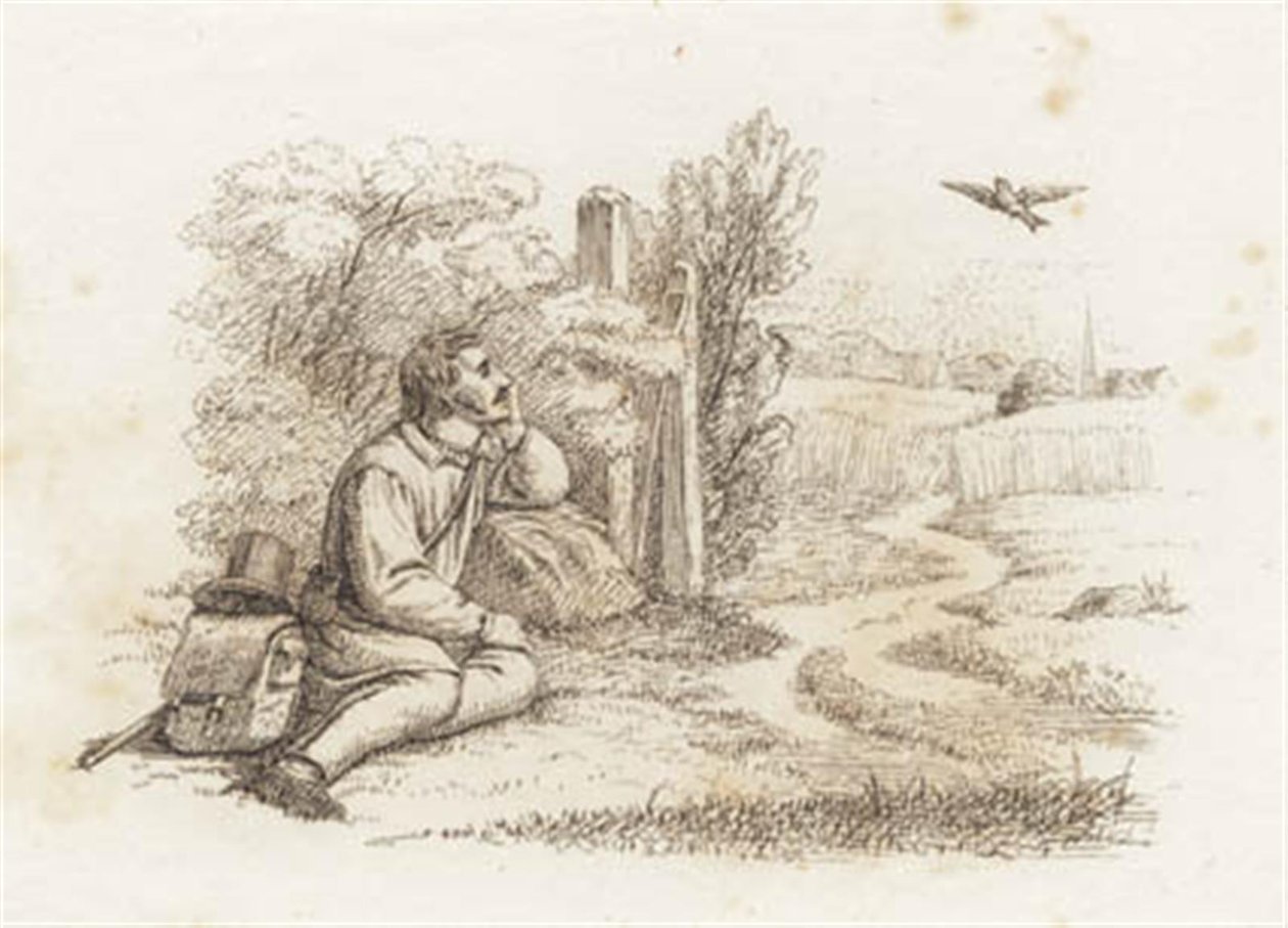 Illustration zu "Halvhundrede Fabler for Børn" von Hey von Martinus Rørbye