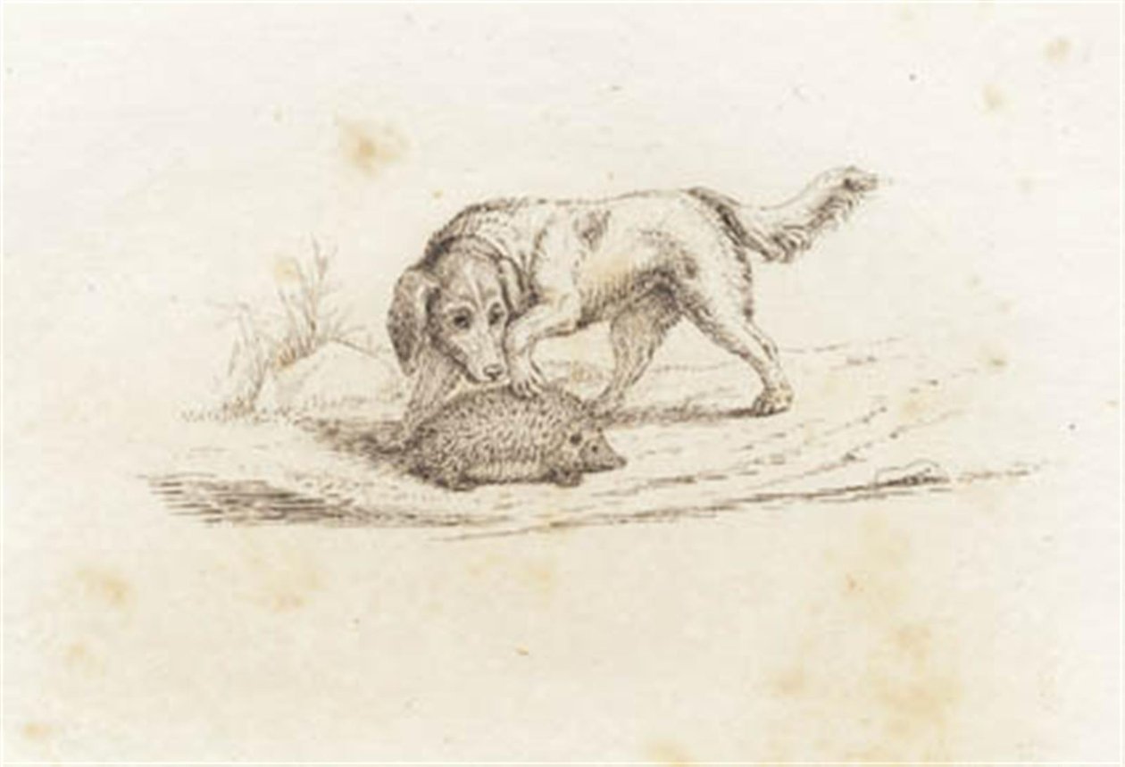 Illustration zu "Fünfzig Fabeln für Kinder" von Hey von Martinus Rørbye