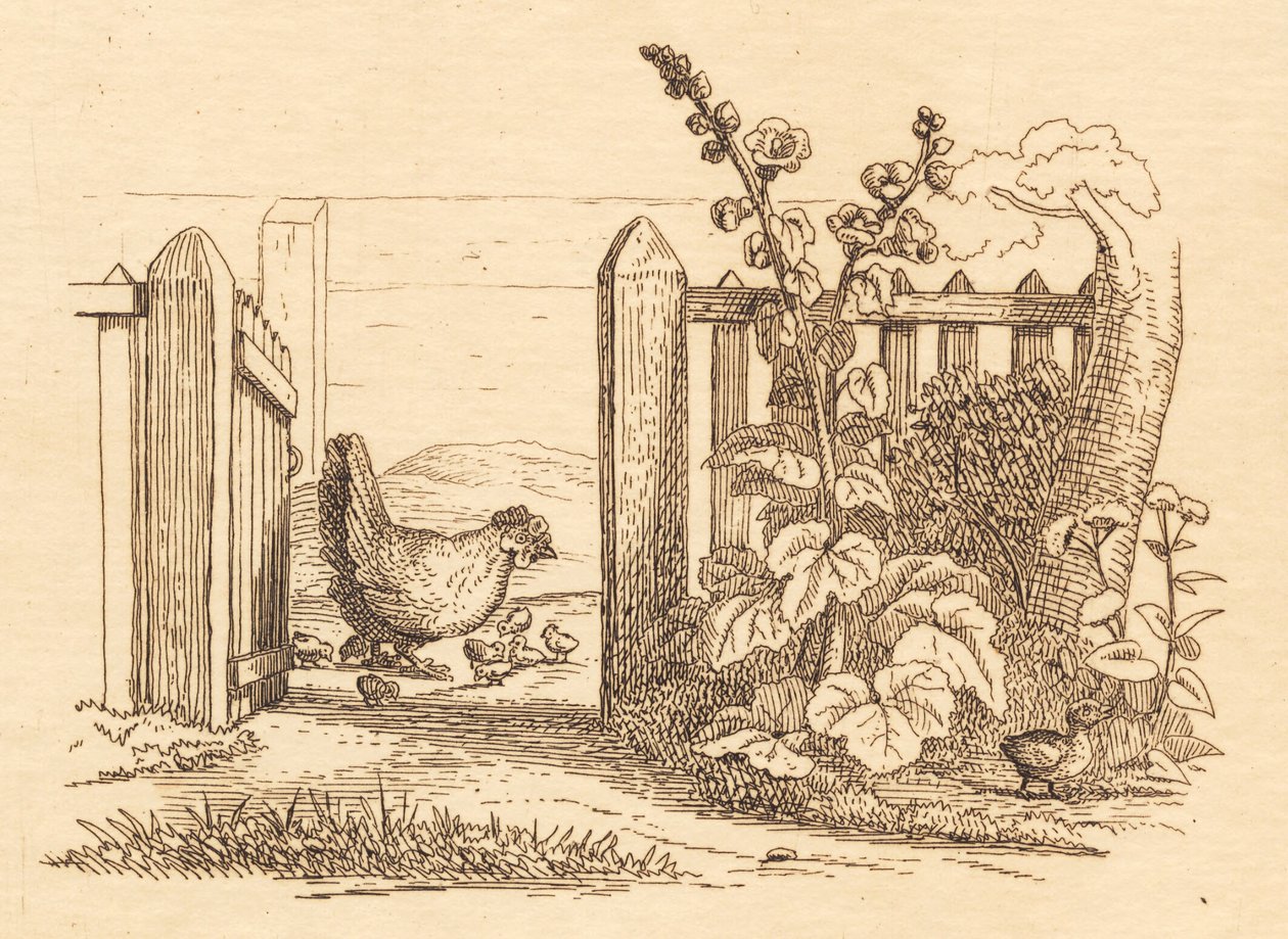 Illustration zu "Halvhundrede Fabler for Børn" von Hey von Martinus Rørbye
