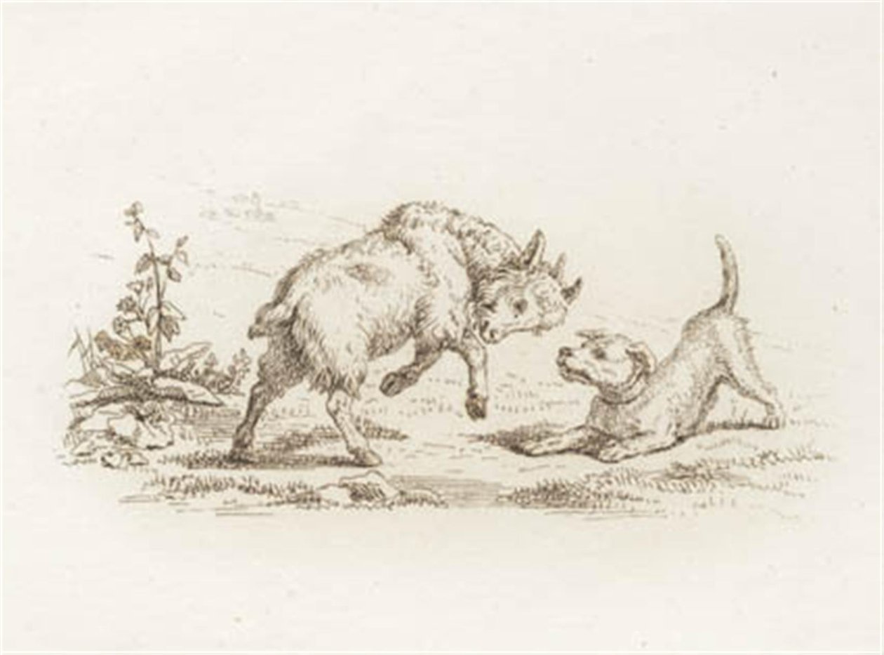 Illustration zu "Halvhundrede Fabler for Børn" von Hey von Martinus Rørbye
