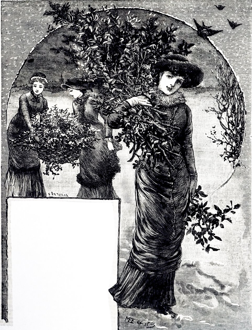 Eine Gravur, die das Sammeln von Stechpalmen und Immergrün für die Weihnachtsdekoration darstellt. Illustriert von Mary Ellen Edwards (1838-1934), einer englischen Künstlerin und Illustratorin von Kinderbüchern von Mary Ellen Edwards