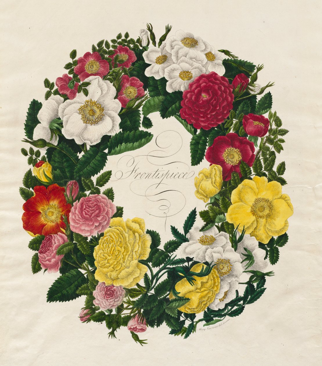 Ein Kranz aus Rosen von Mary Lawrence