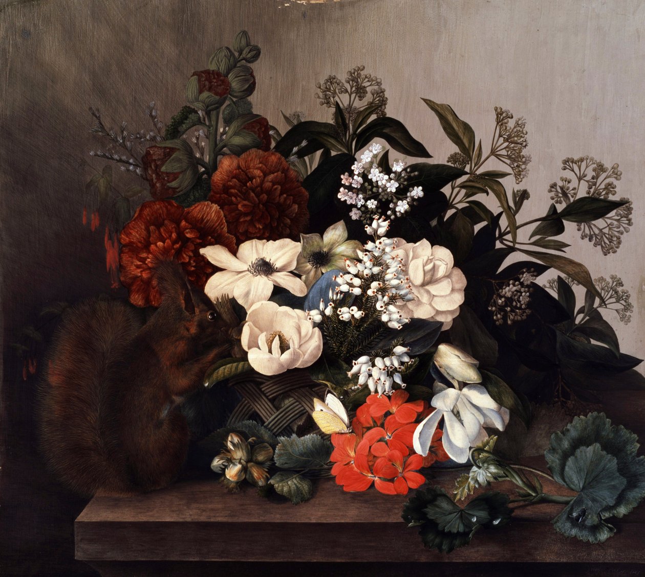 Stillleben mit Eichhörnchen und Geranien. Gemälde von Mary Lawrence (geboren im 18. Jahrhundert) von Mary Lawrence