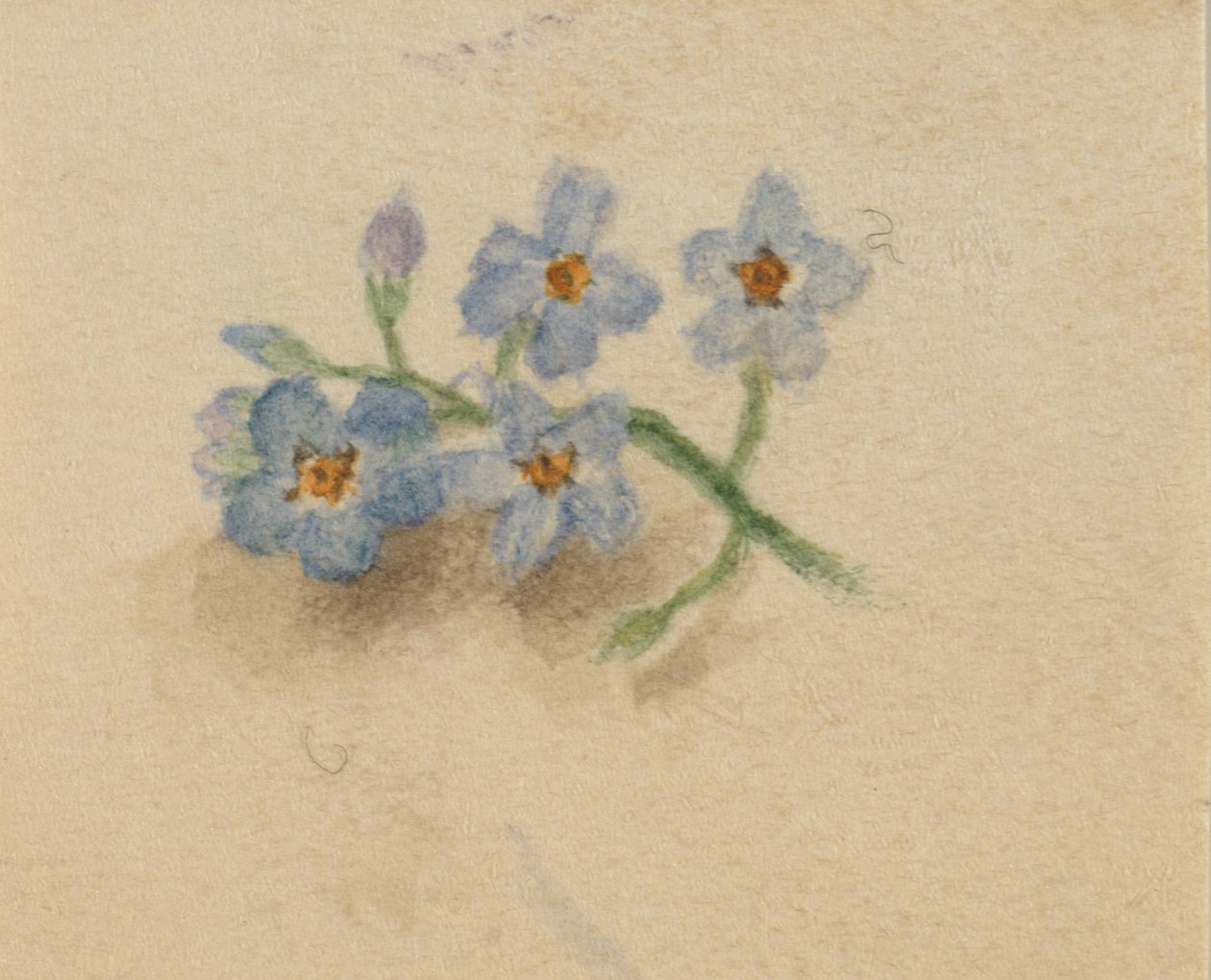 Ohne Titel, 1874 von Mary Vaux Walcott